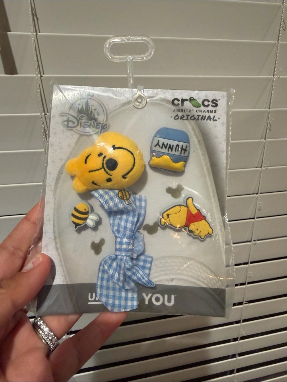Disney Winnie the Pooh crocs jibbitz